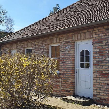 Ferienwohnungen Ruegen-Glueck Ломе Екстериор снимка